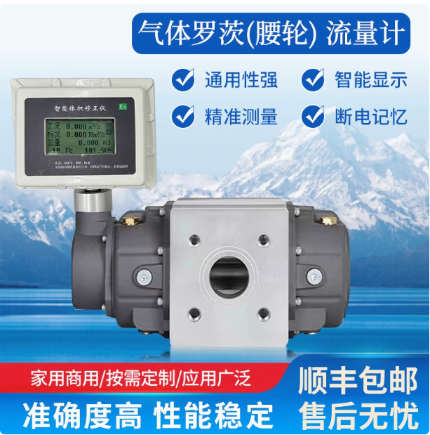 LLQ-25氣體羅茨腰輪流量計