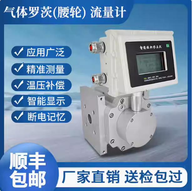 LLQ-100氣體羅茨腰輪流量計...