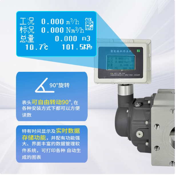 LLQ-100氣體羅茨腰輪流量計